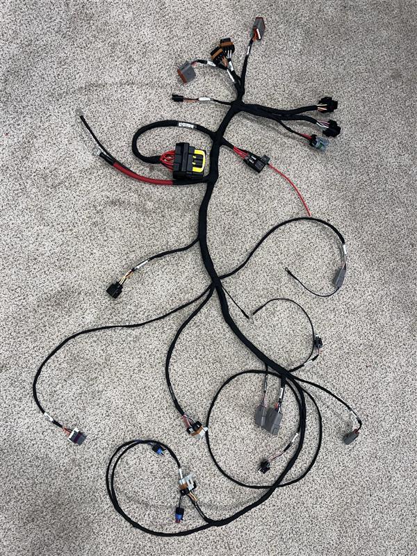 BMW E9X LS Swap Harness