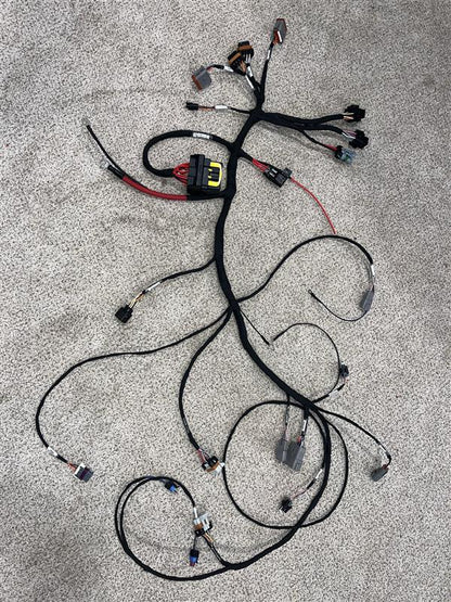 BMW E9X LS Swap Harness