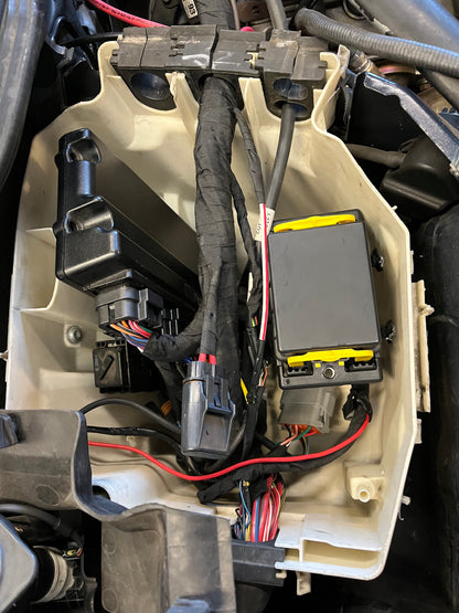 BMW E9X LS Swap Harness